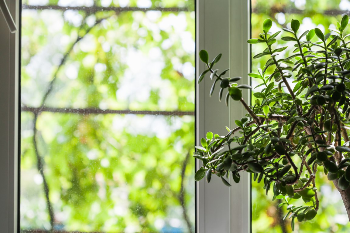 Quelles fenêtres choisir pour sa maison neuve